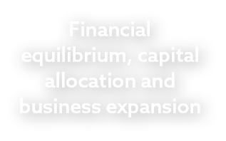 Financial equilibrium, capital allocation and business expansion