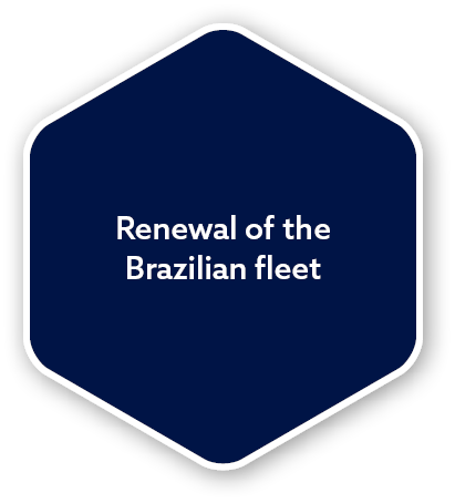 Renewal of the Brazilian flee