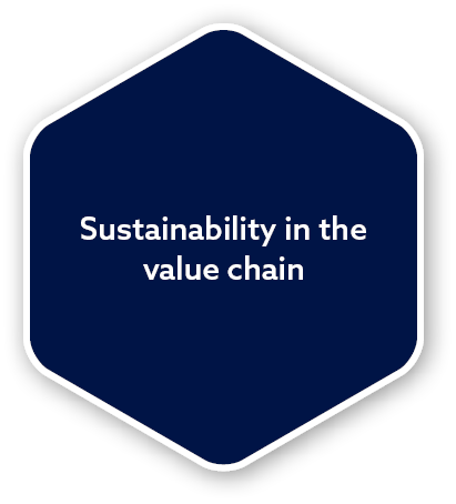 Sustainability in the value chai