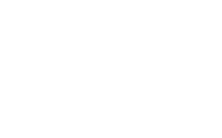 Stakeholders for whom the issue is material Members of the board and investors SDG 