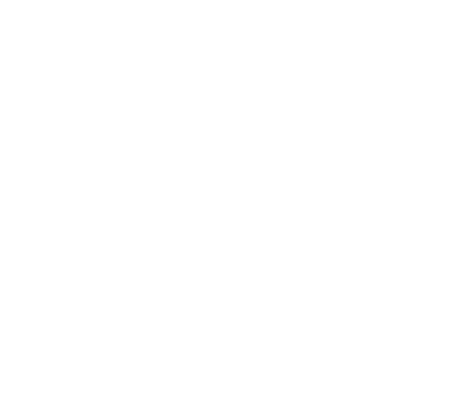 Stakeholders for whom the issue is material Members of the board and investors SDG 