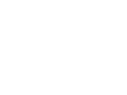 Stakeholders for whom the issue is material Members of the board SDG 