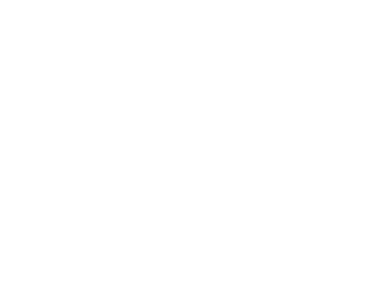 Stakeholders for whom the issue is material Investors SDG 