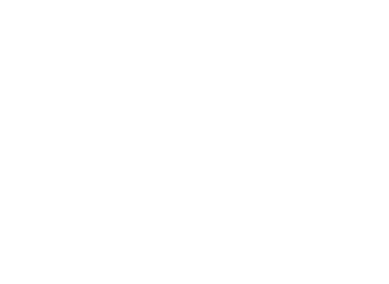 Stakeholders for whom the issue is material Investors SDG 