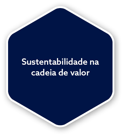 Sustentabilidade na cadeia de valo