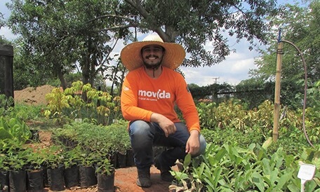 Crianças plantando árvores
